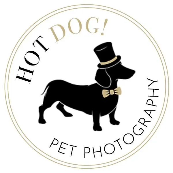 Hot Dog! Pet Photography Logo