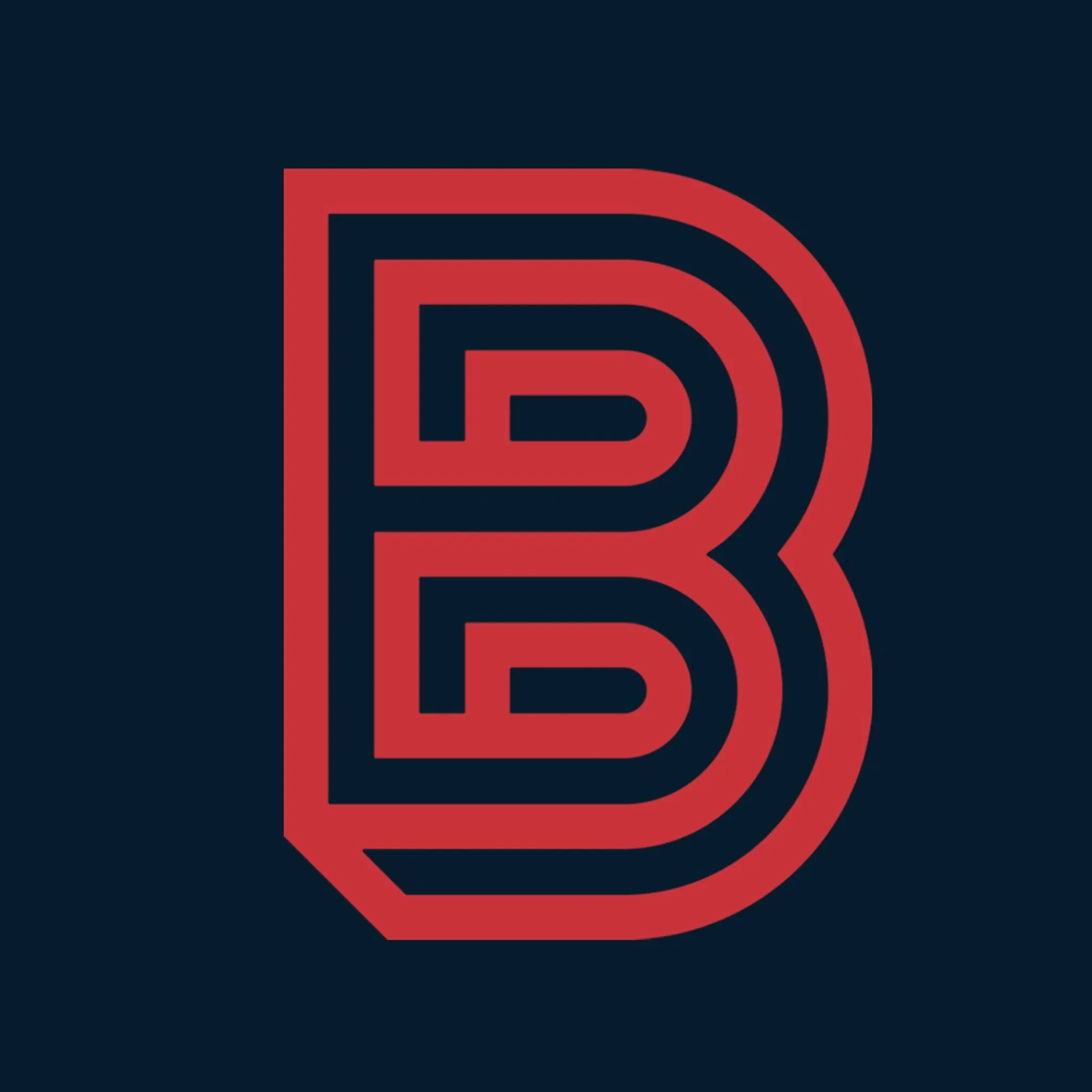 Big Visual Group Logo