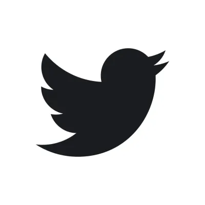 Blue Polo Interactive Logo