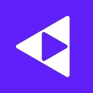 Precisify Logo