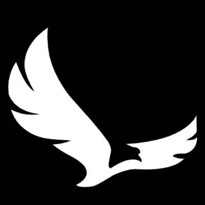 Eaglytics Co Logo