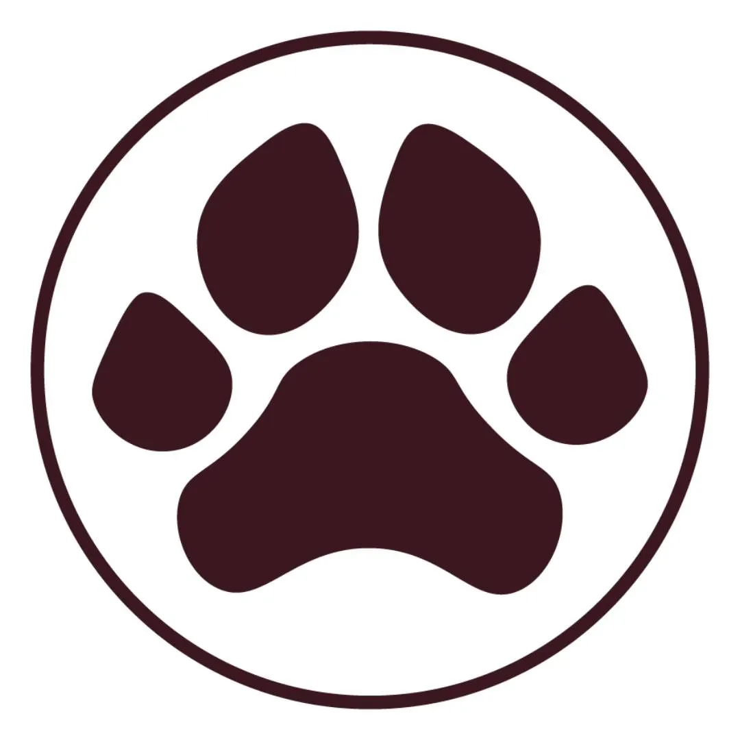 Big Paws Marketing Logo