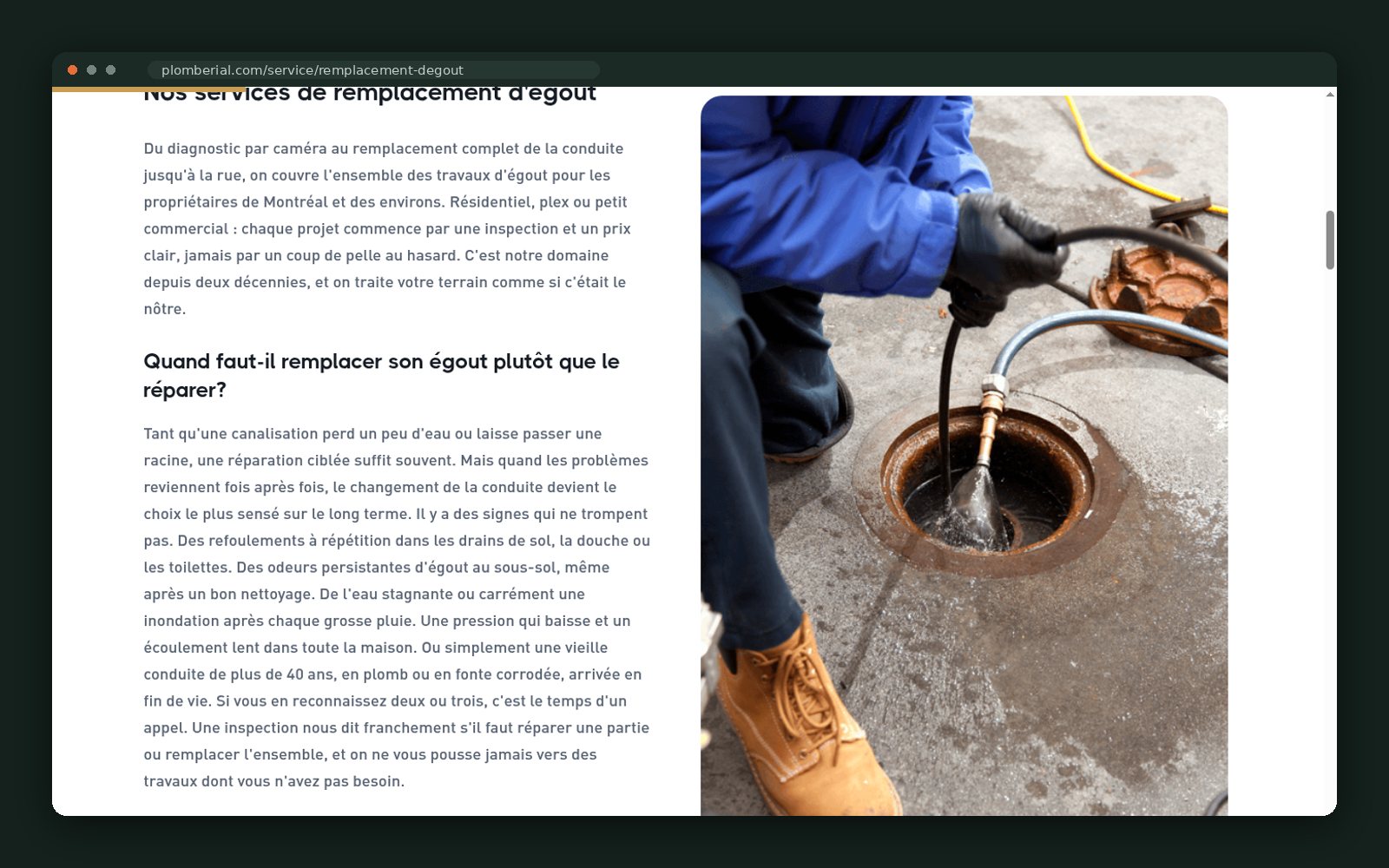 Camera inspection and trenchless options