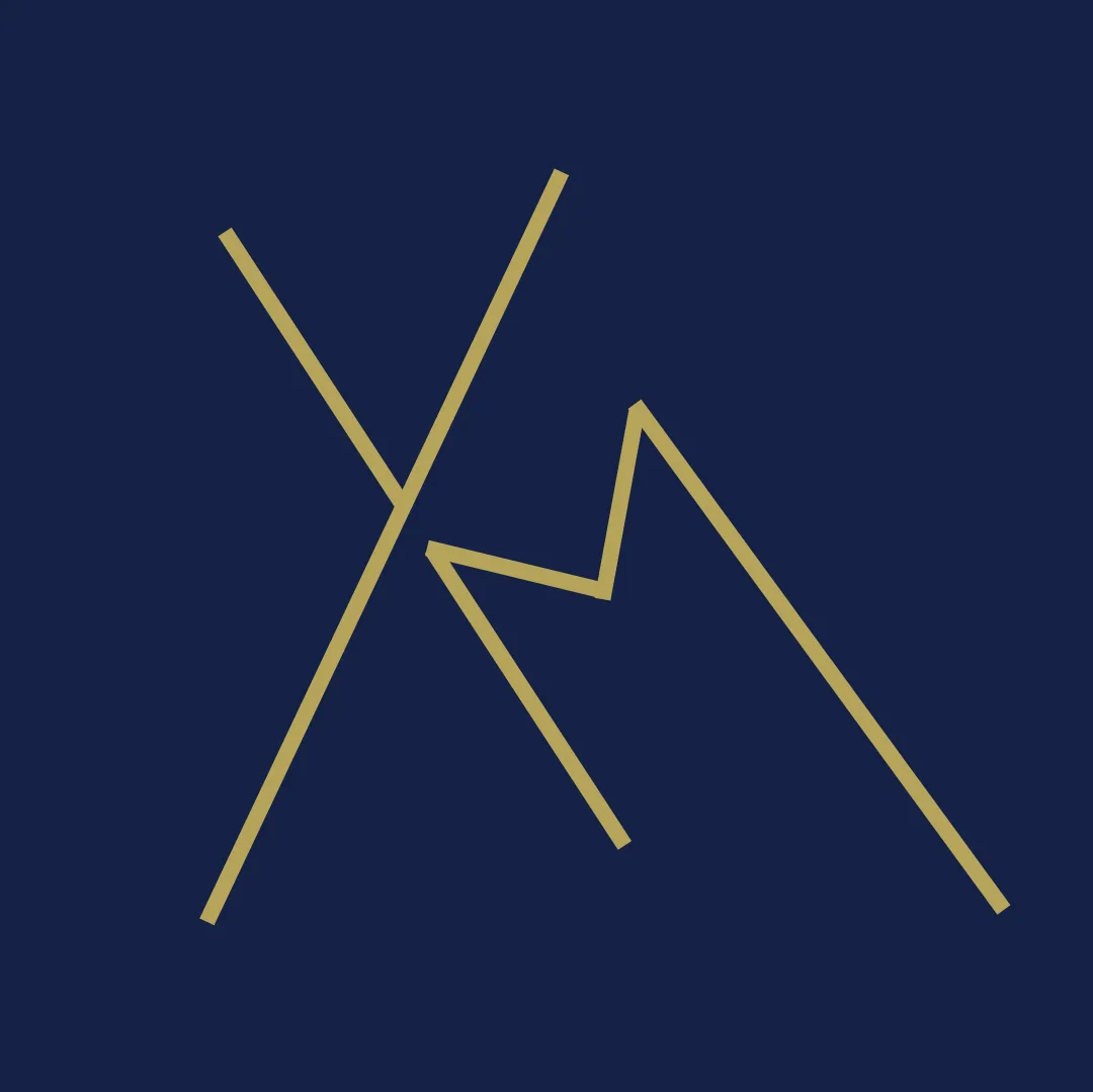Yilmaz Media Co Logo
