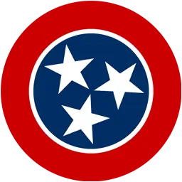 Nashville Web Solutions Logo