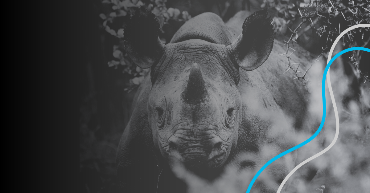 MojoRhino Logo