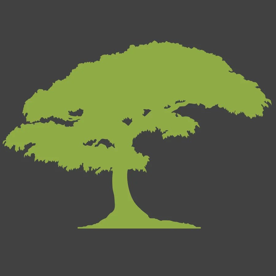 One Tree Forest Logo