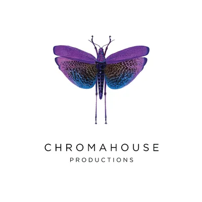 Chroma House Logo
