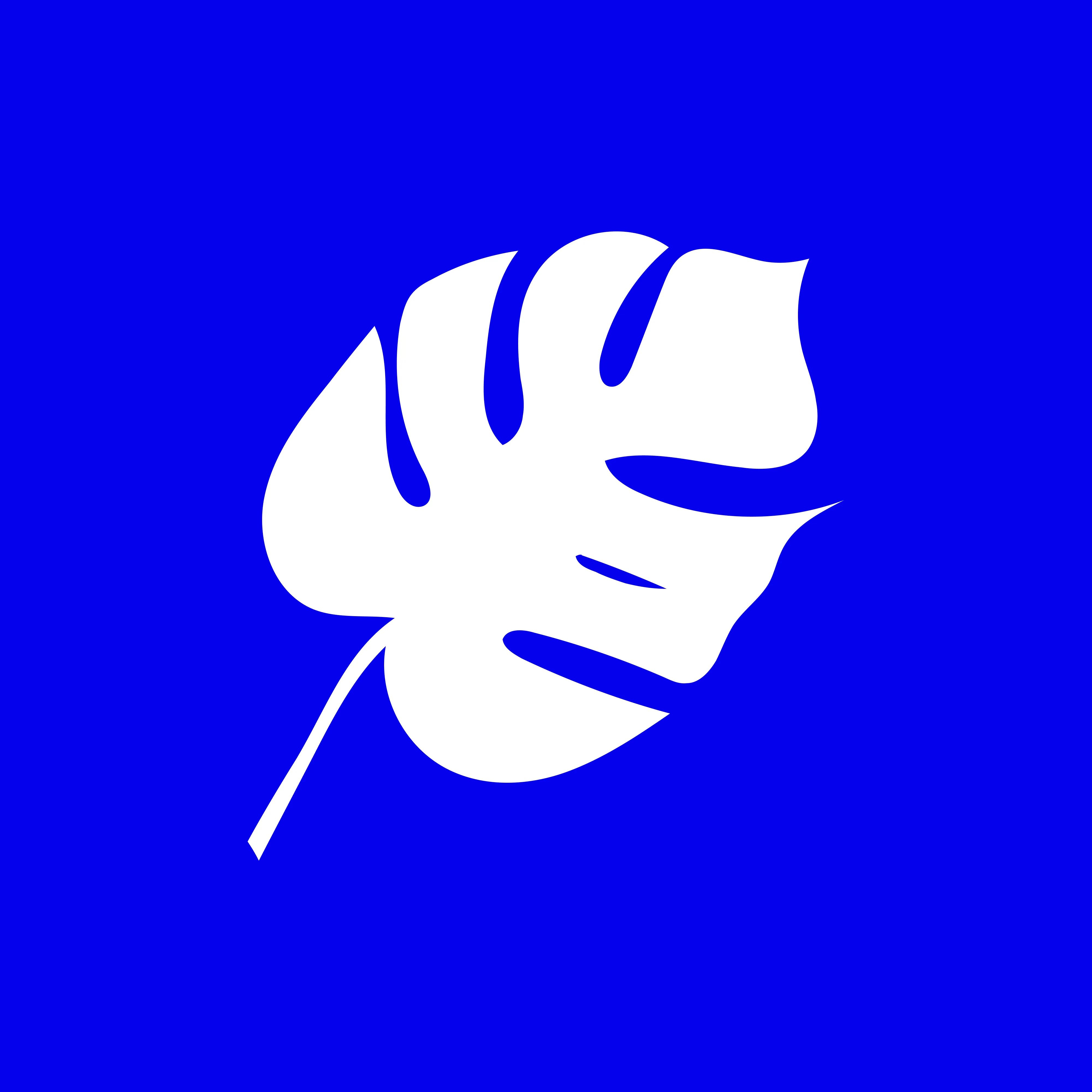 Pacific IQ Logo
