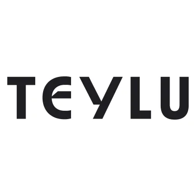 Teylu and Partners Logo