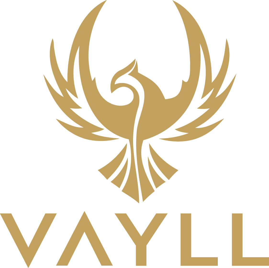 VAYLL Logo