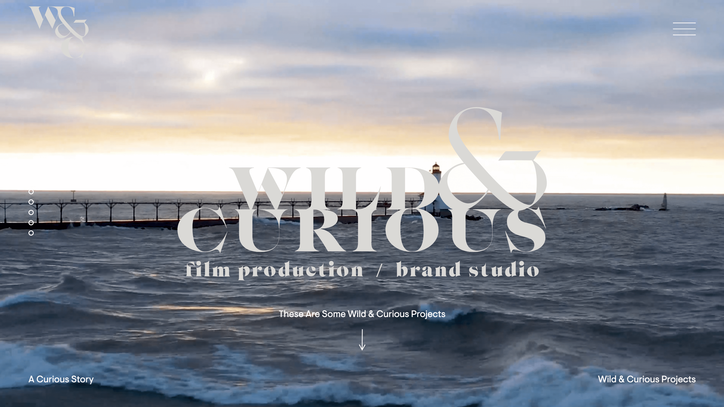 Wild & Curious Logo