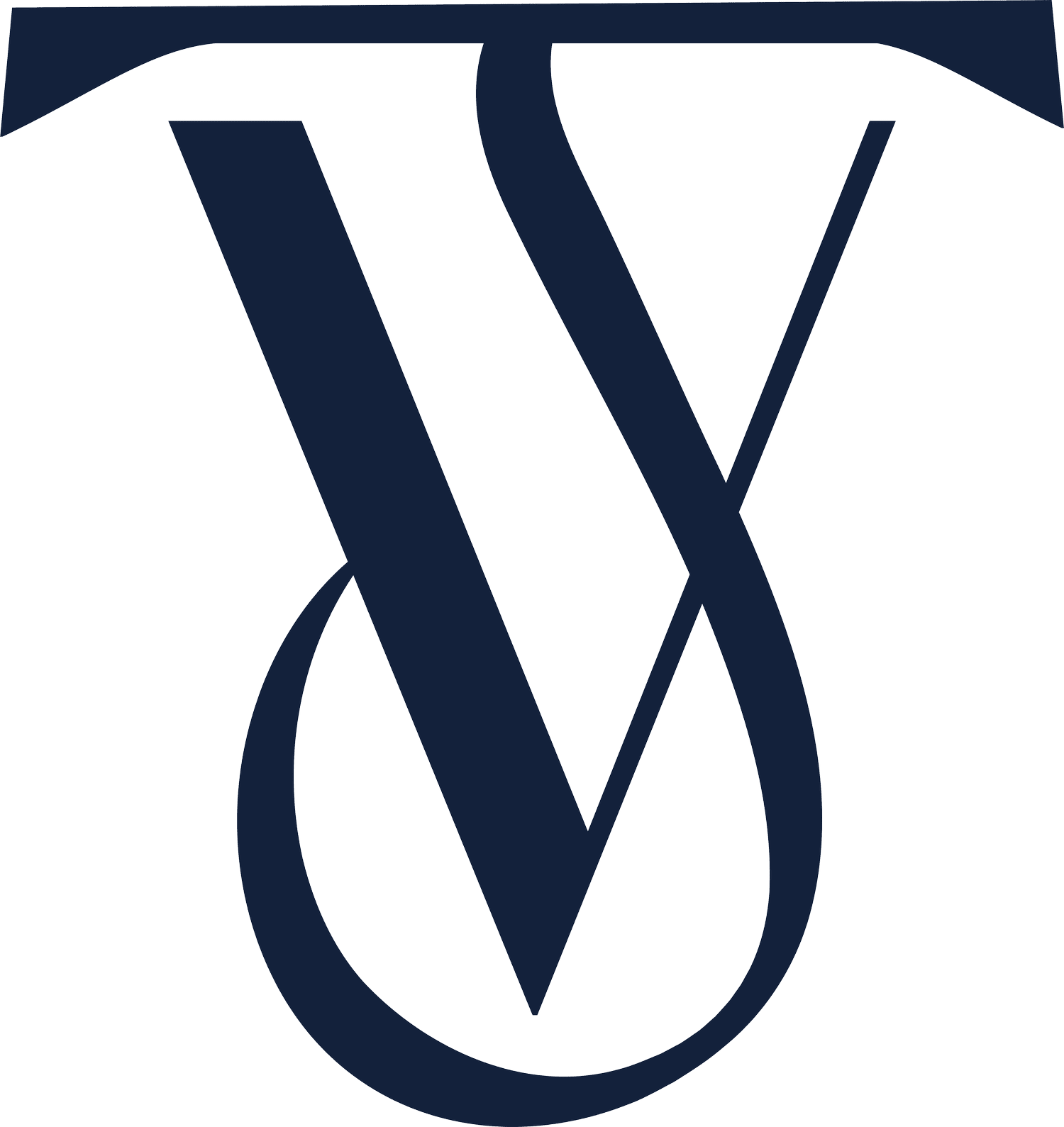 The Virtual Journeys Logo