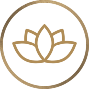 Medical Spa SEO Agency, LLC Logo