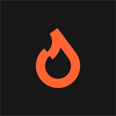 Digital Fuel Logo