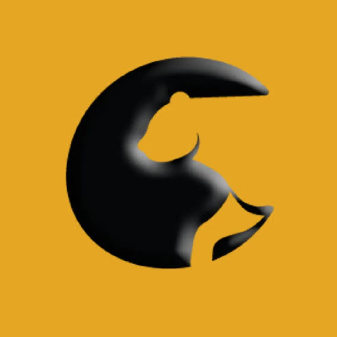 POUNCE Solutions Logo