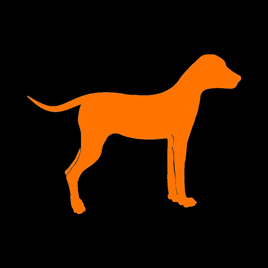Source TEN Logo