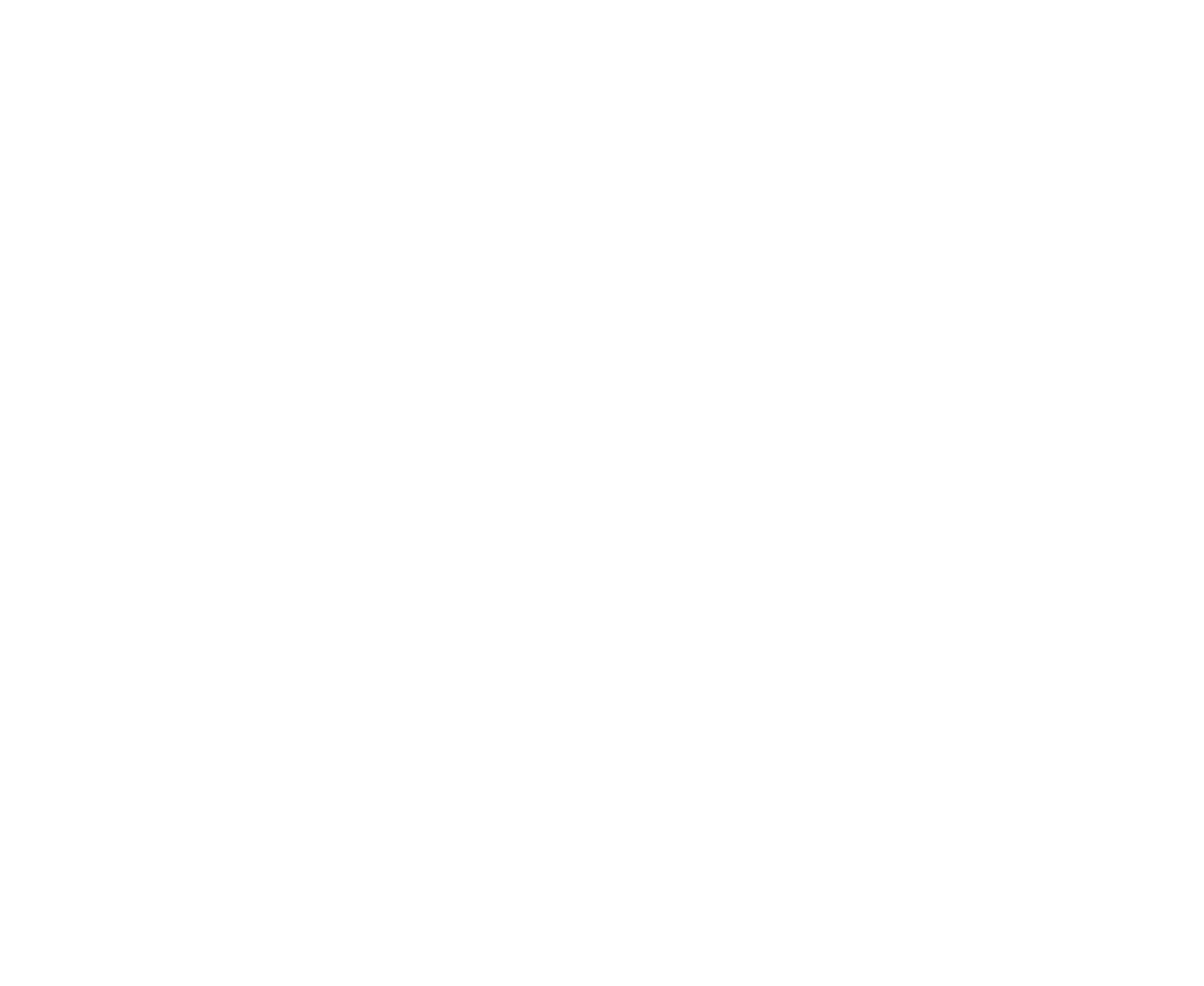 Tsunami Digital Media Logo
