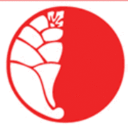 James Jones Studio Logo
