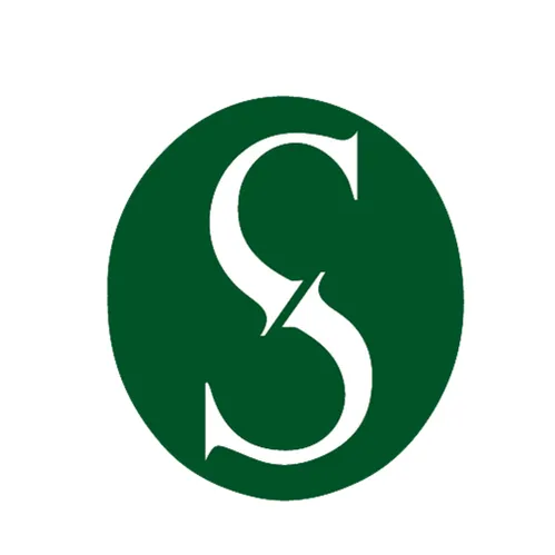 Sina Advisory Group Logo