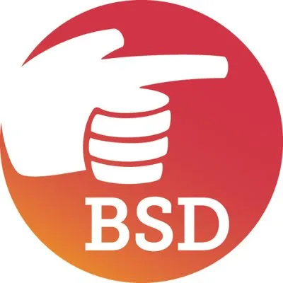 Beth Singer Design Logo