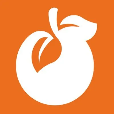 Brangerine Logo