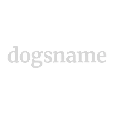 Dogsname Logo