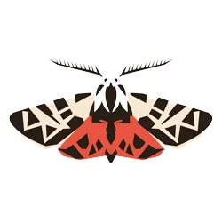 Tigermoth Creative Logo