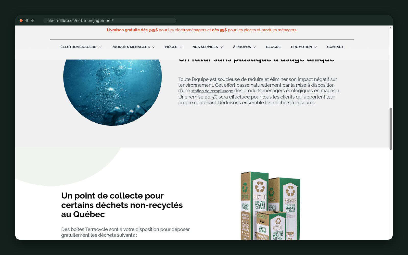Plastic-free bulk refills and Terracycle collection point