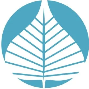 Bodhi Design Logo