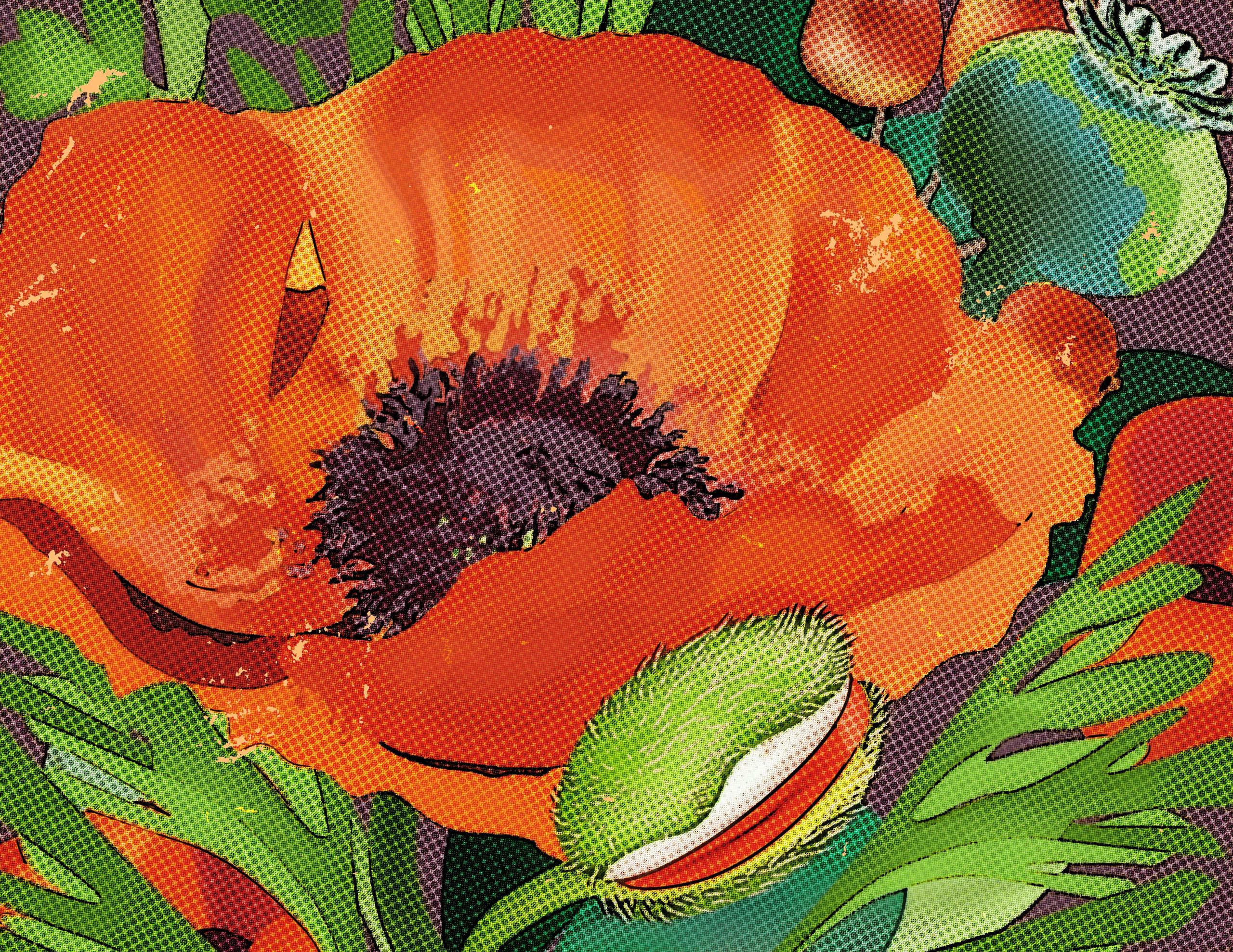 Poppyseed Creative Logo