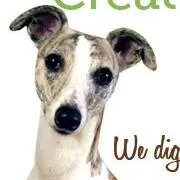 Whippet Creative Logo