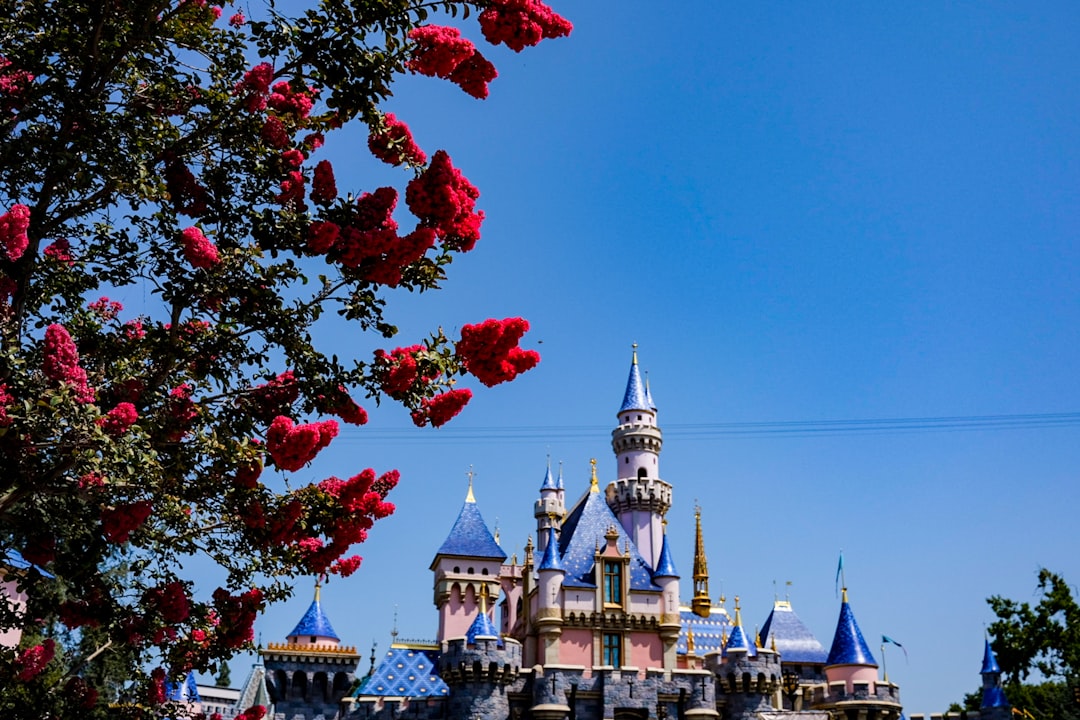 Anaheim city photo — Web Tonic
