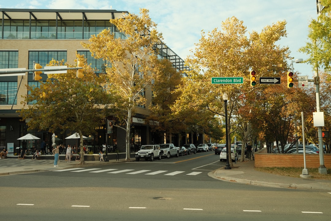 Arlington city photo — Web Tonic