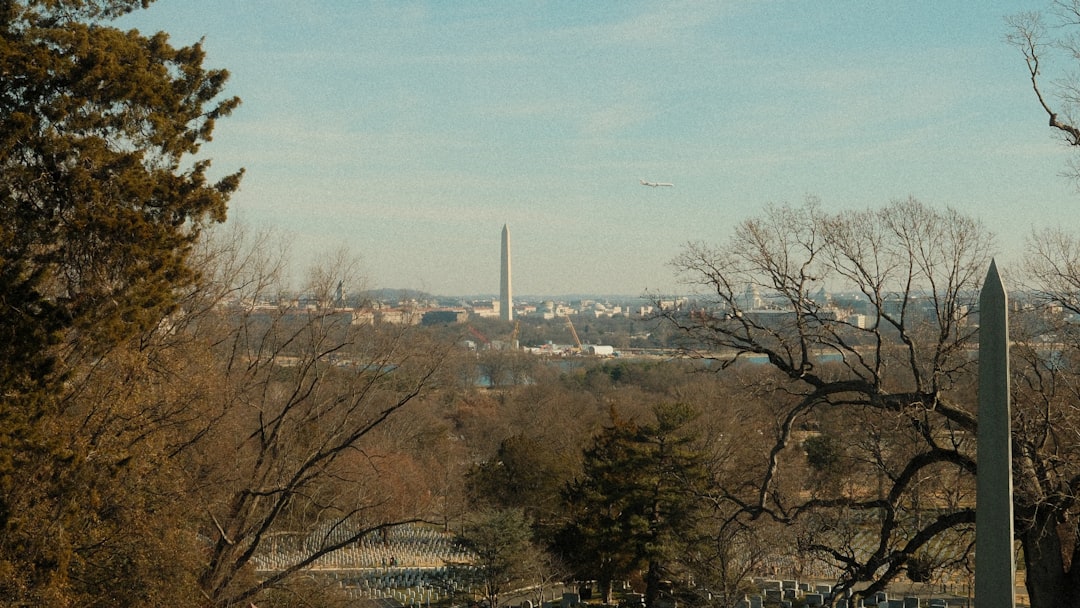 Arlington city photo — Web Tonic