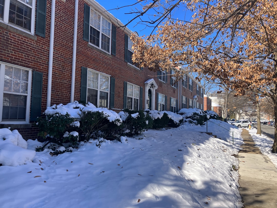 Arlington city photo — Web Tonic