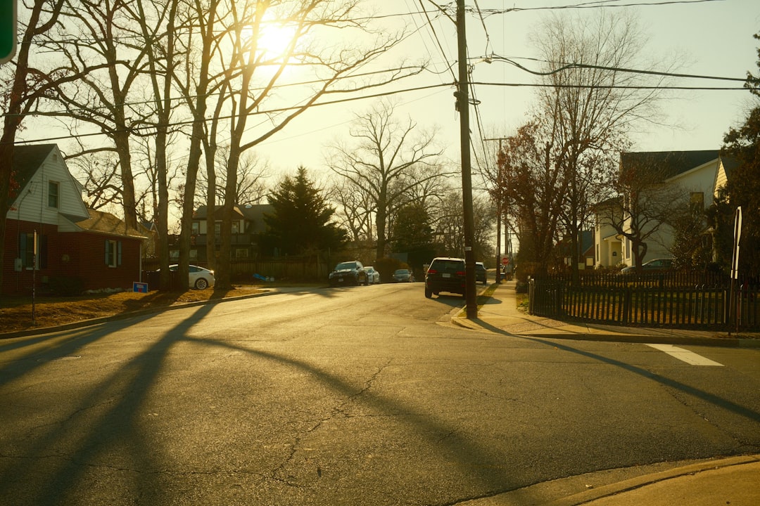 Arlington city photo — Web Tonic