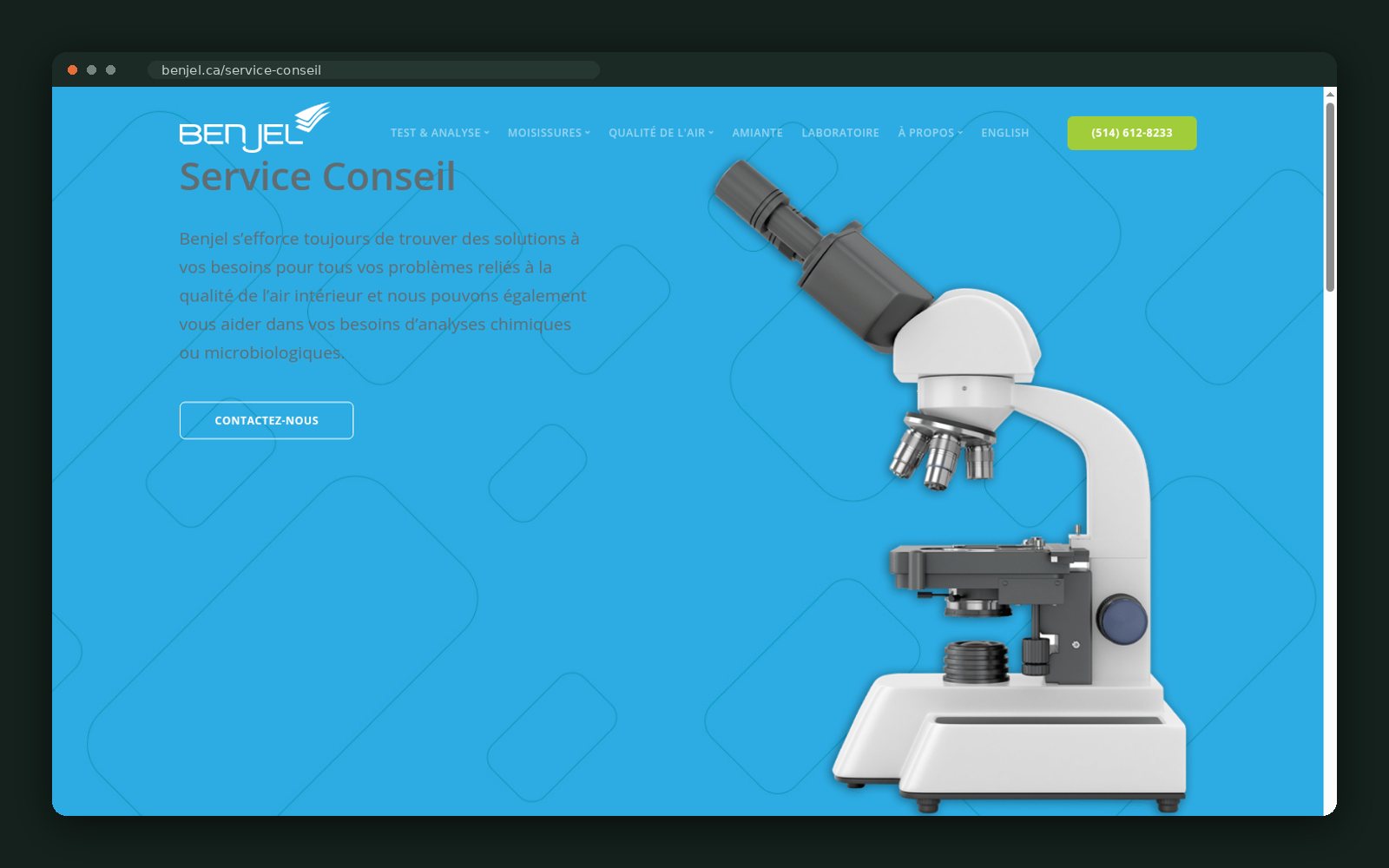 Consulting service page with lab imagery