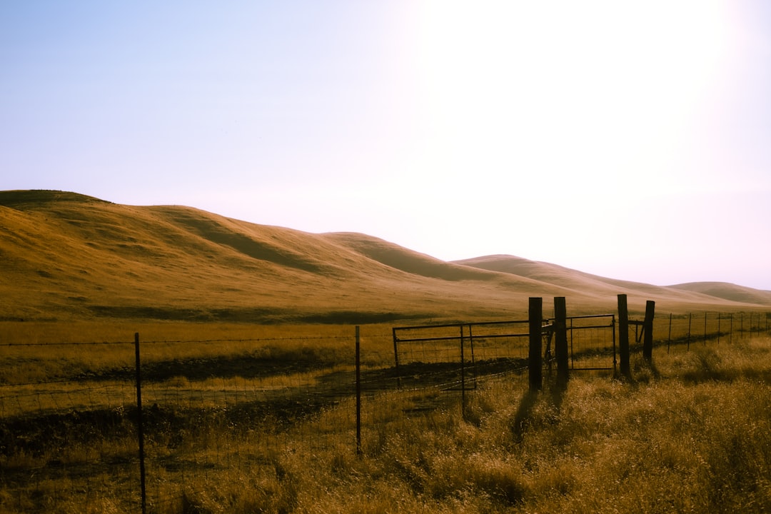 Bakersfield city photo — Web Tonic
