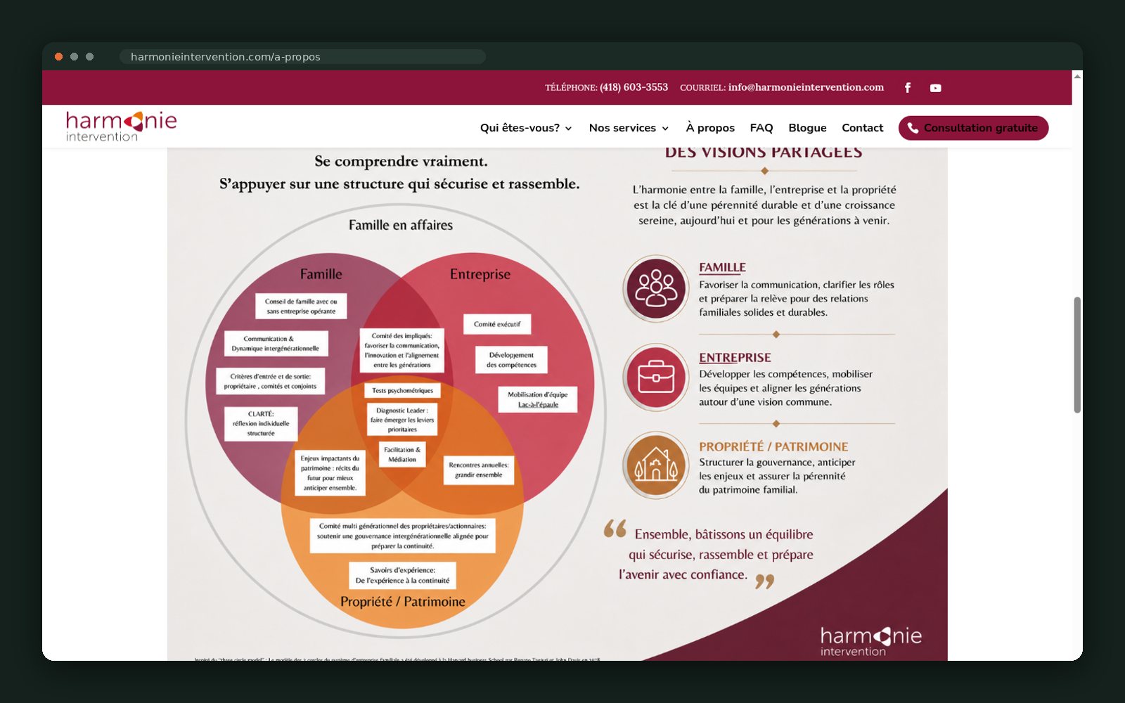 The three-circle family, business and ownership model