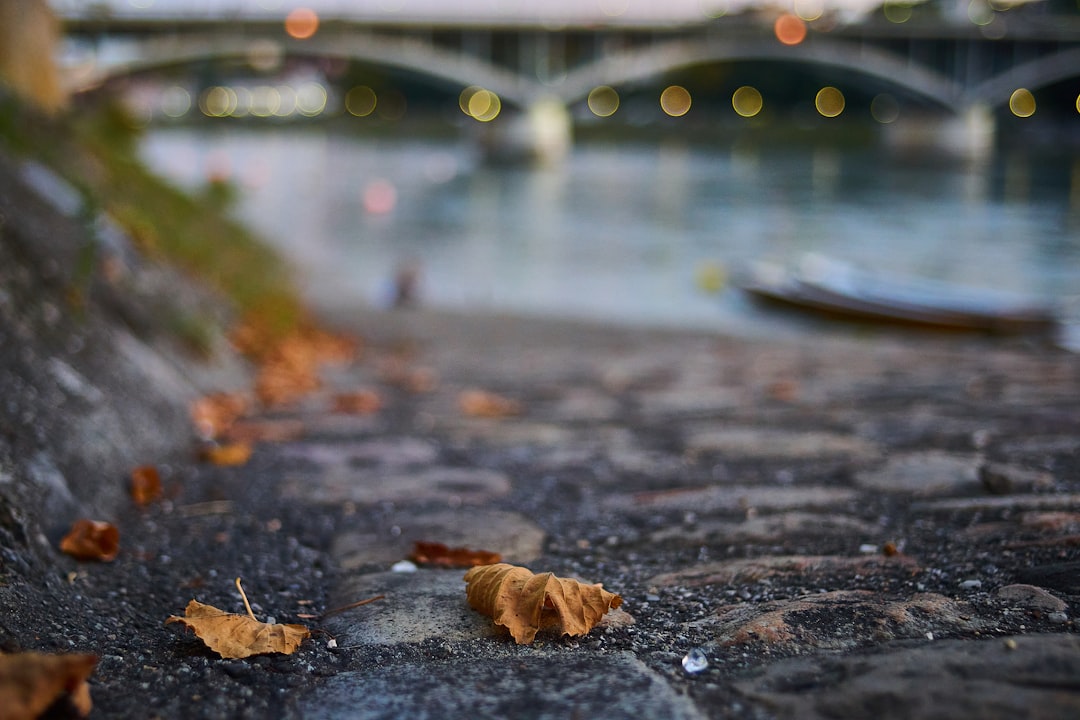 Basel city photo — Web Tonic