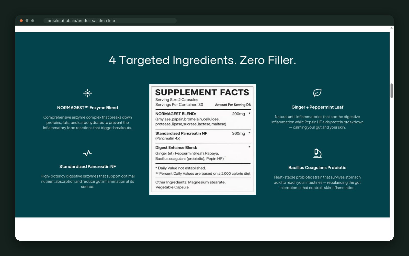 BreakoutLabs website — screen 3