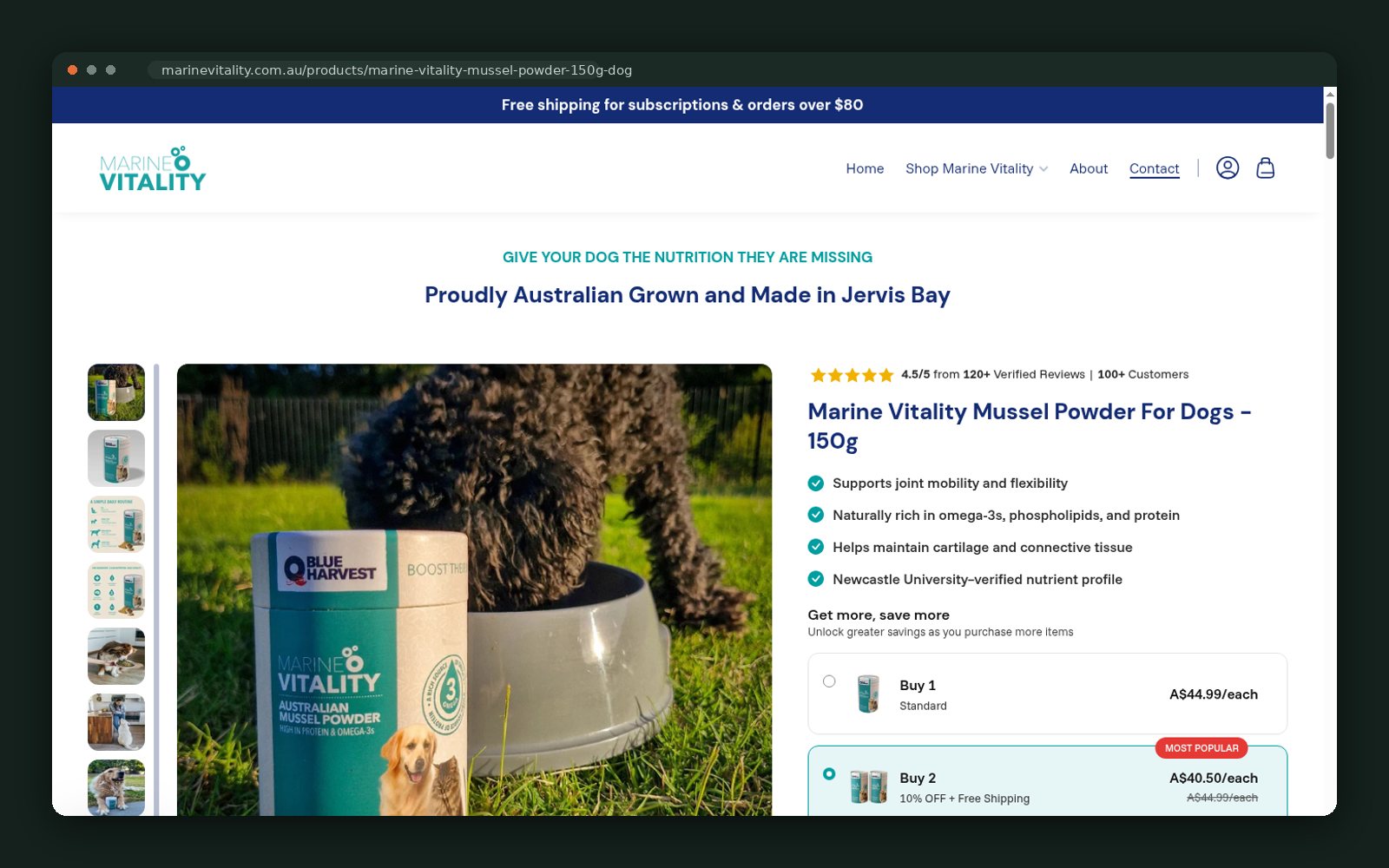 Marine Vitality website homepage