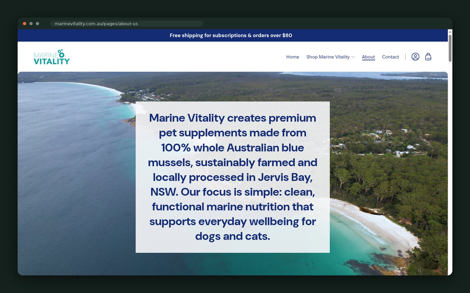 Marine Vitality website — screen 4