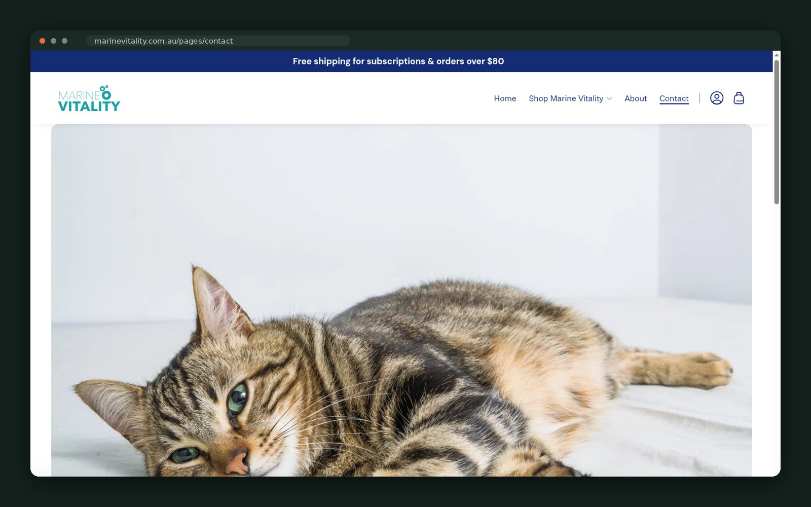Contact page hero