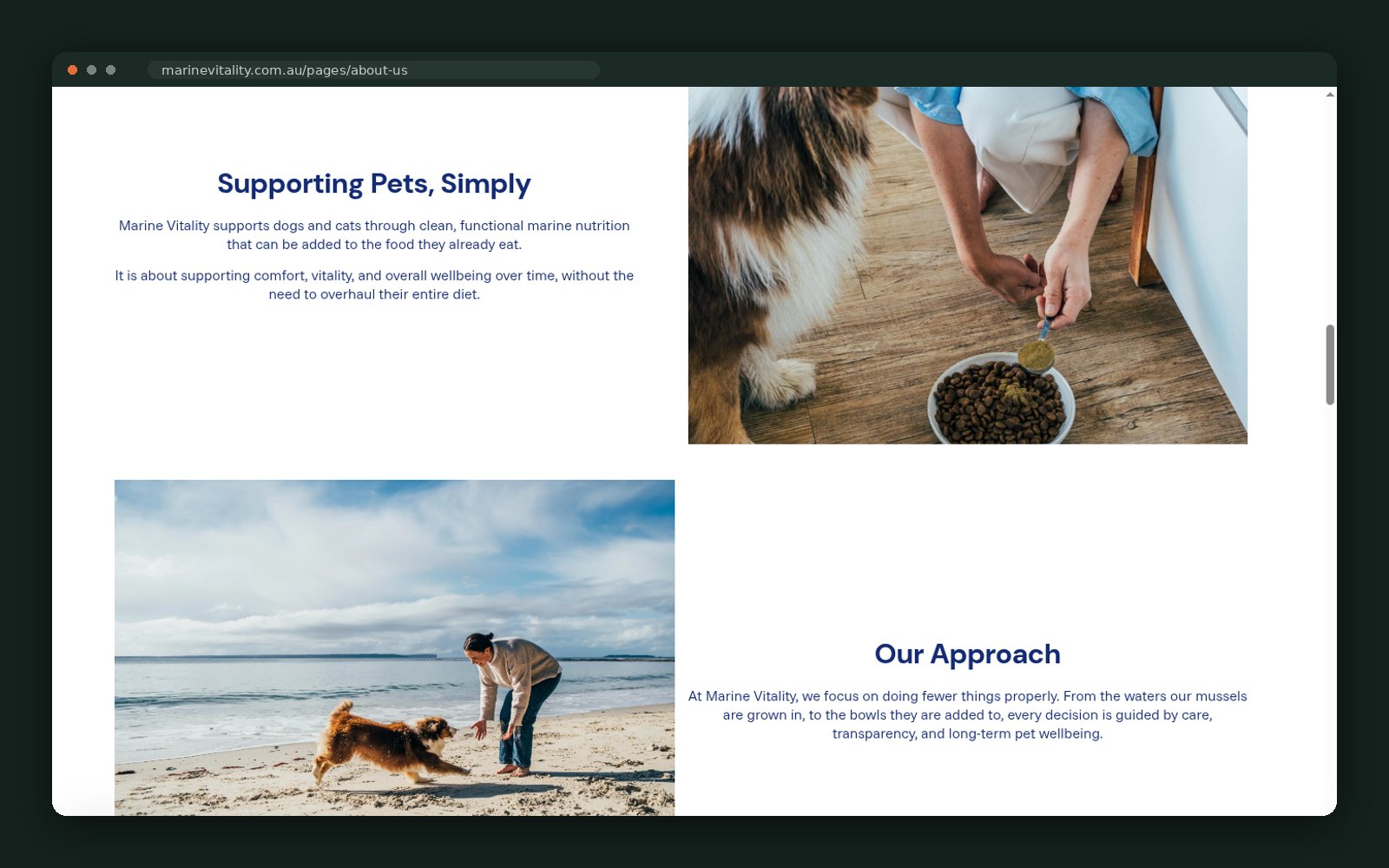 Marine Vitality website — screen 5