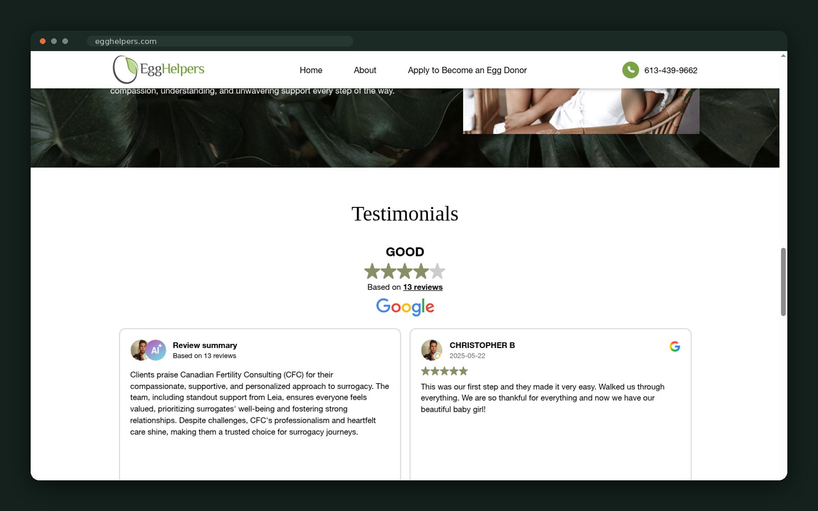 Google review testimonials
