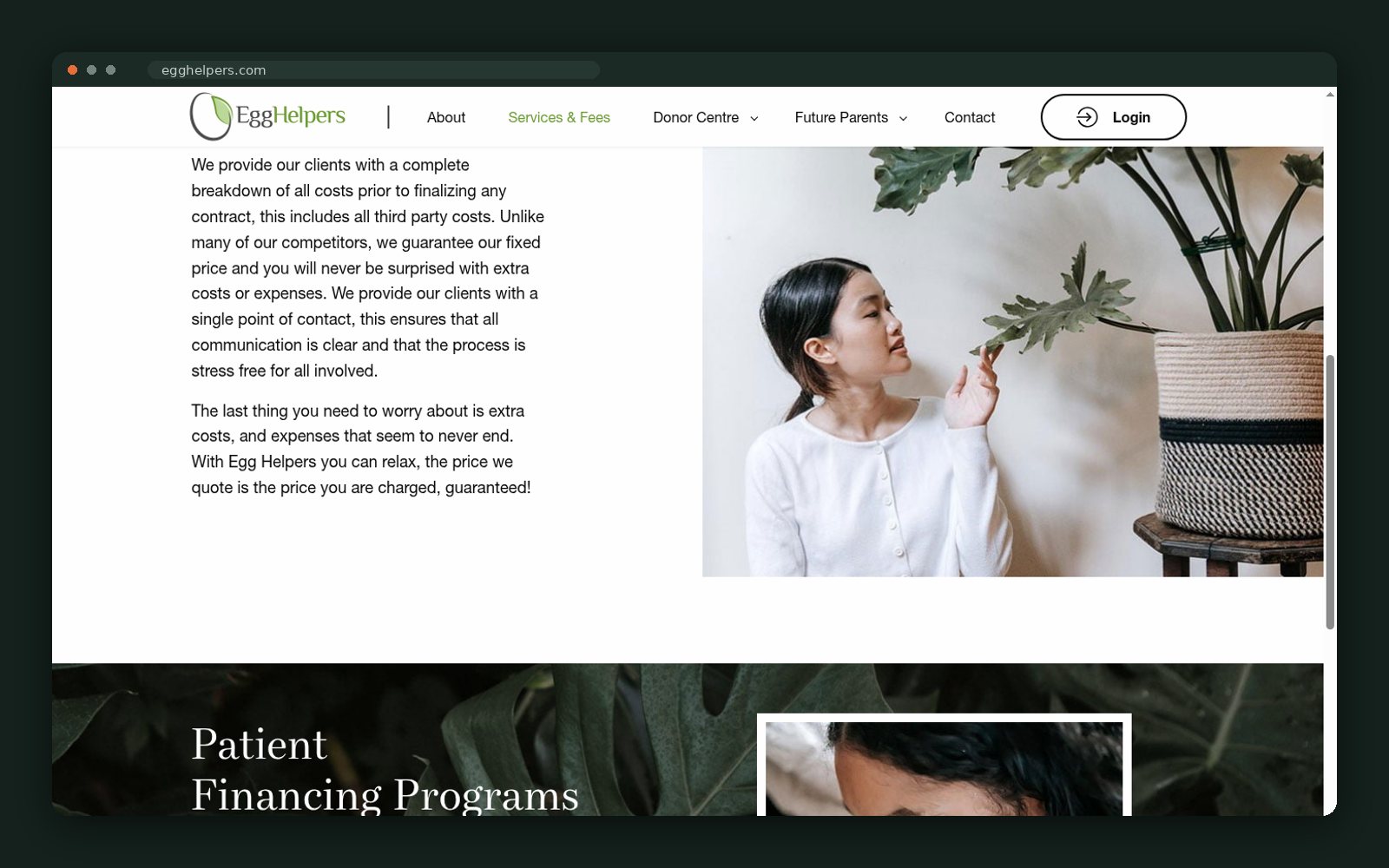 Fixed-price breakdown and patient financing