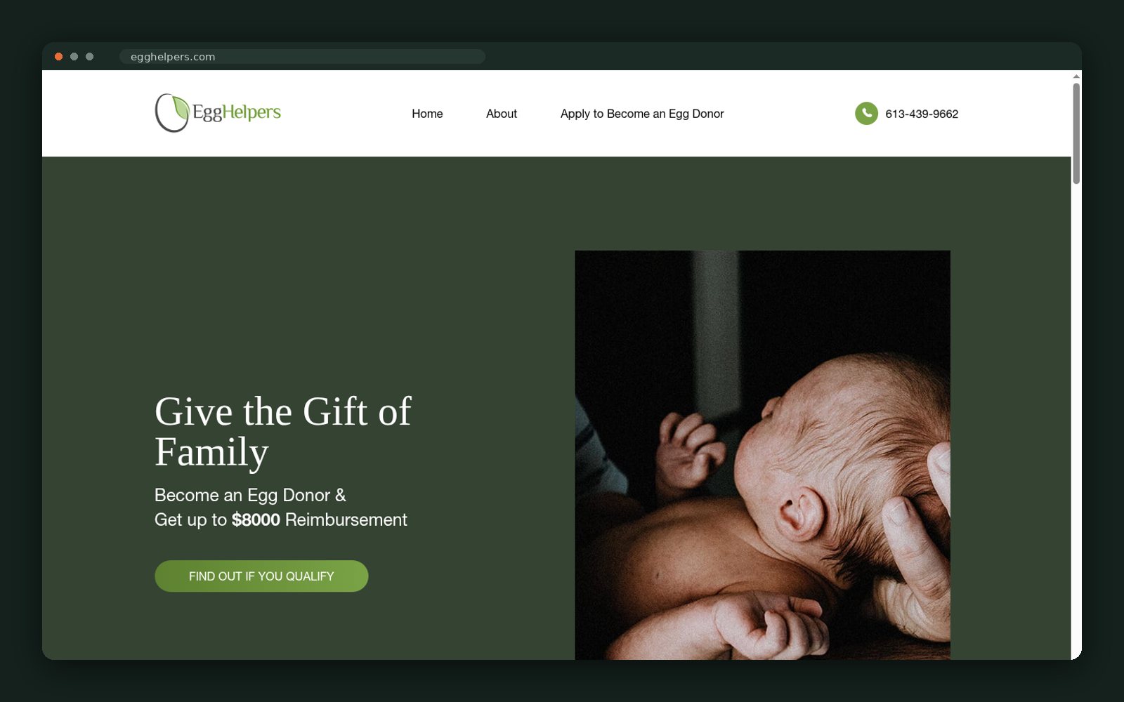 Egg Helpers website — screen 2