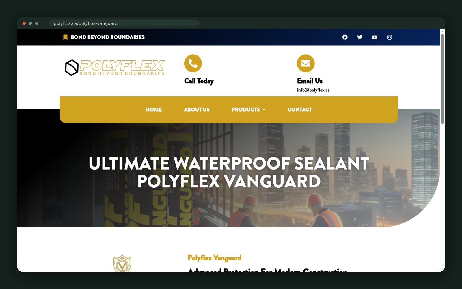 Polyflex website — screen 4